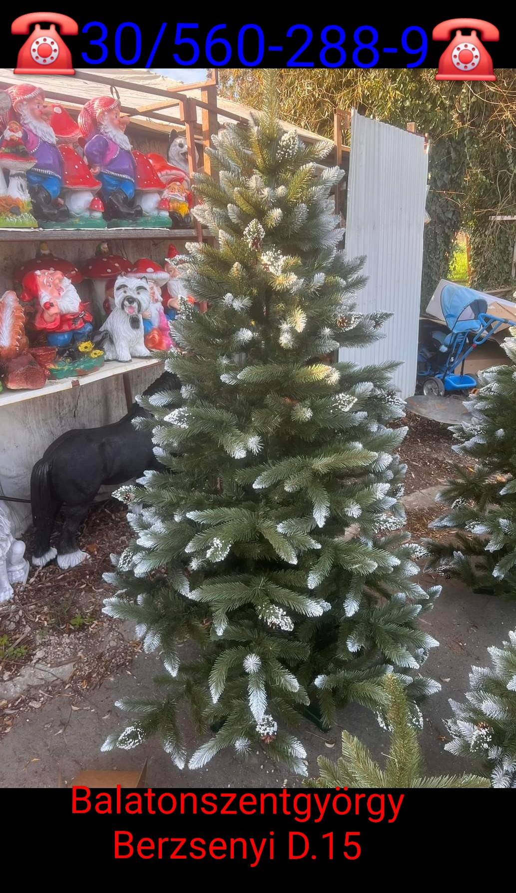 Markusz Market galéria