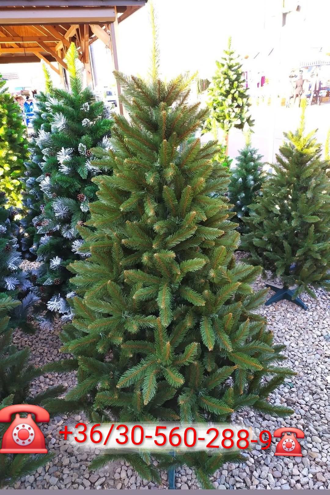 Markusz Market galéria