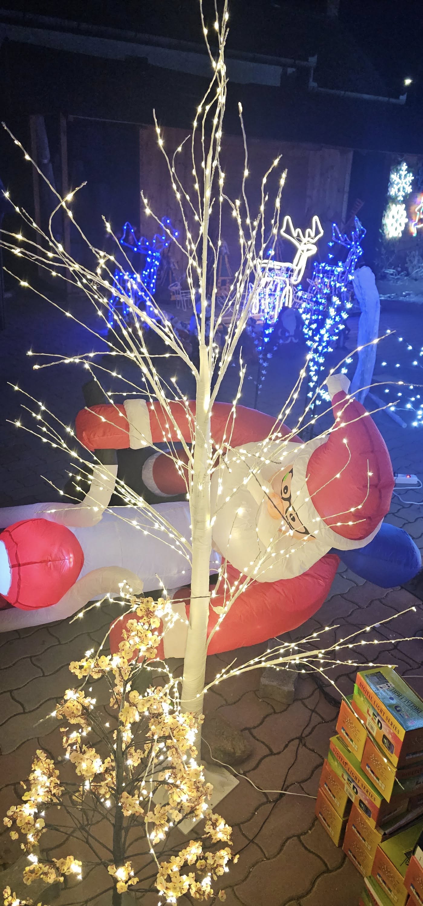 Markusz Market galéria